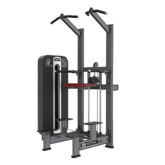 KB-K609 – Pull-Up Assistance Exercise (Golden Series)