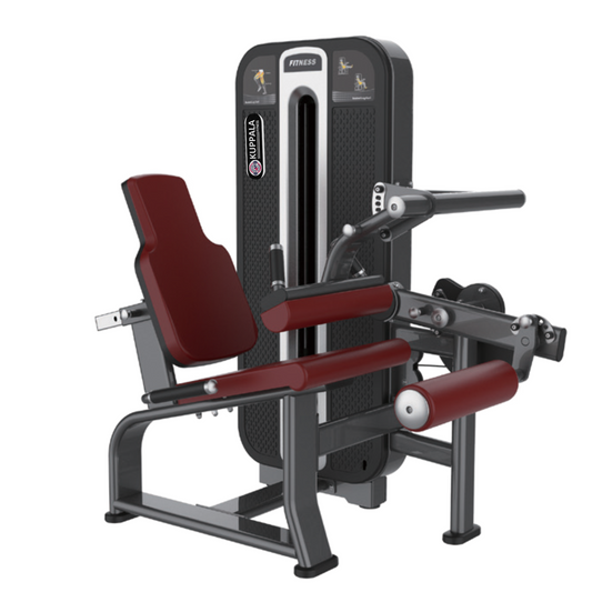 KB-K623 – Leg Curl (Golden Series)